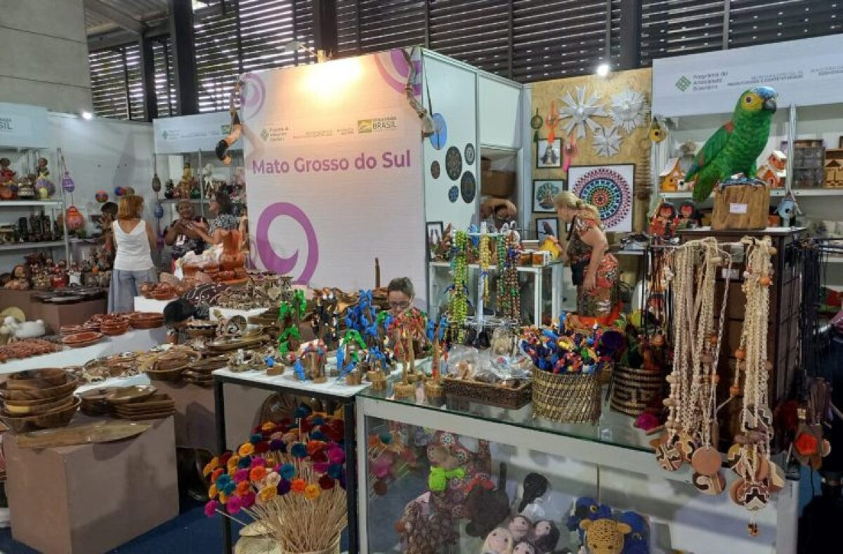 Artesãos de Mato Grosso do Sul participam de evento nacional em Brasília