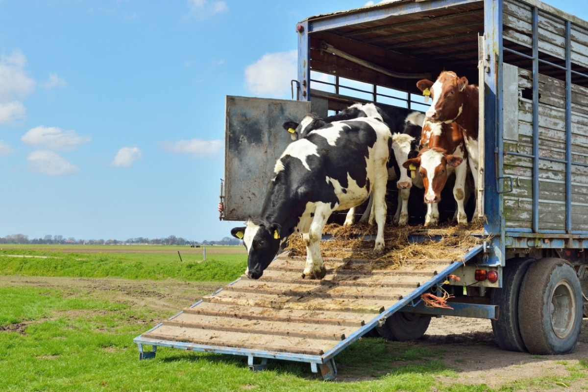 Uso do app “Transportador Iagro” passou a ser obrigatório nesta quinta-feira