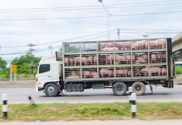 Uso do app “Transportador Iagro” passou a ser obrigatório nesta quinta-feira