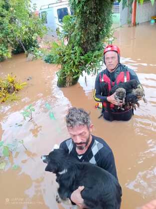 Bombeiros e Policiais de MS resgataram mais de 900 pessoas no Rio Grande do Sul 