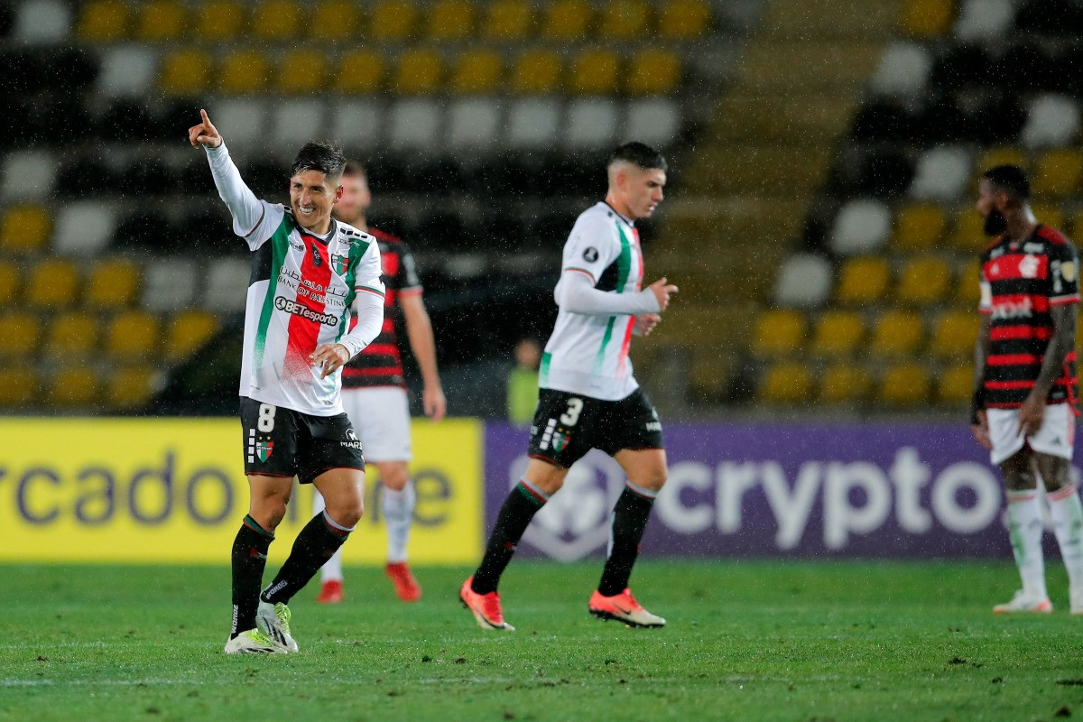 Palestino Flamengo