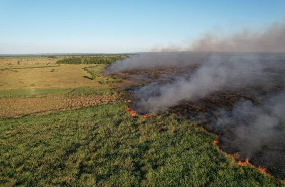 Bombeiros atuam em combate às chamas no Pantanal e em Naviraí 