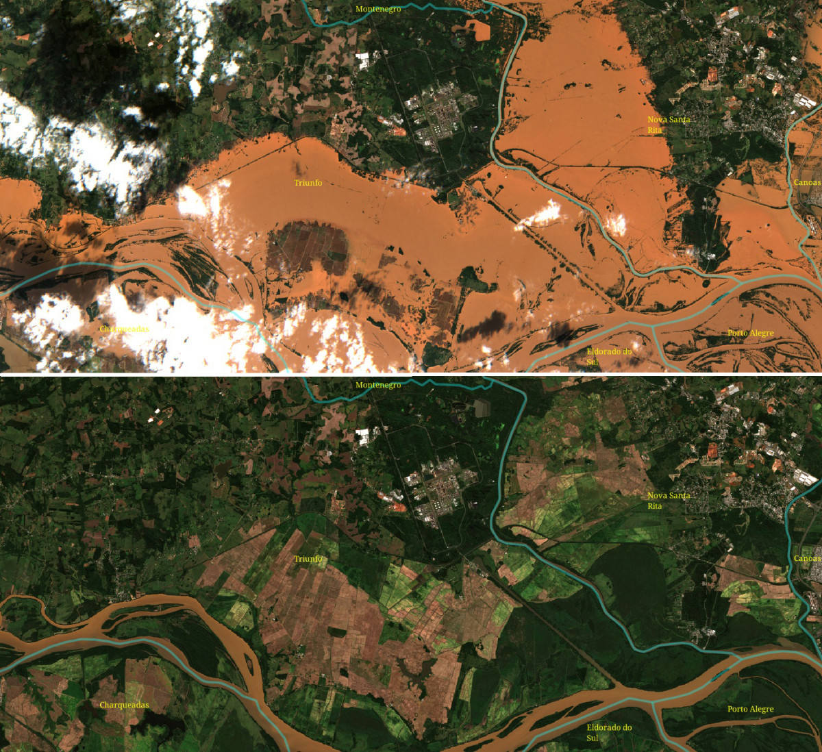 Pecuária bovina do Rio Grande do Sul é impactada pelo desastre