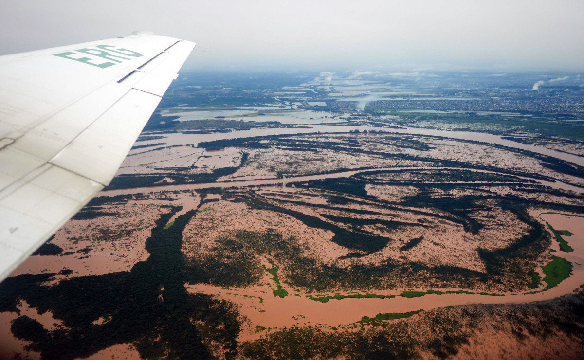 Pecuária bovina do Rio Grande do Sul é impactada pelo desastre