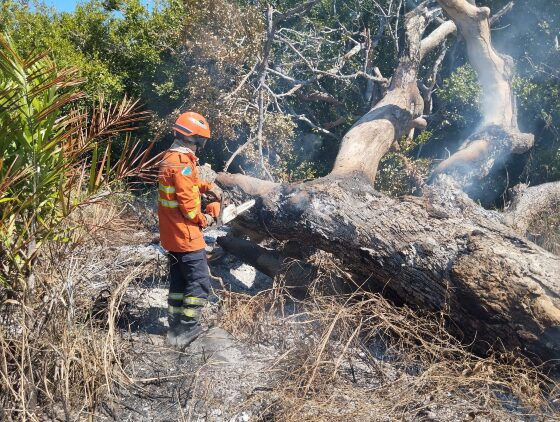 Incêndio: Corpo de Bombeiros é mobilizado em Corumbá e Naviraí