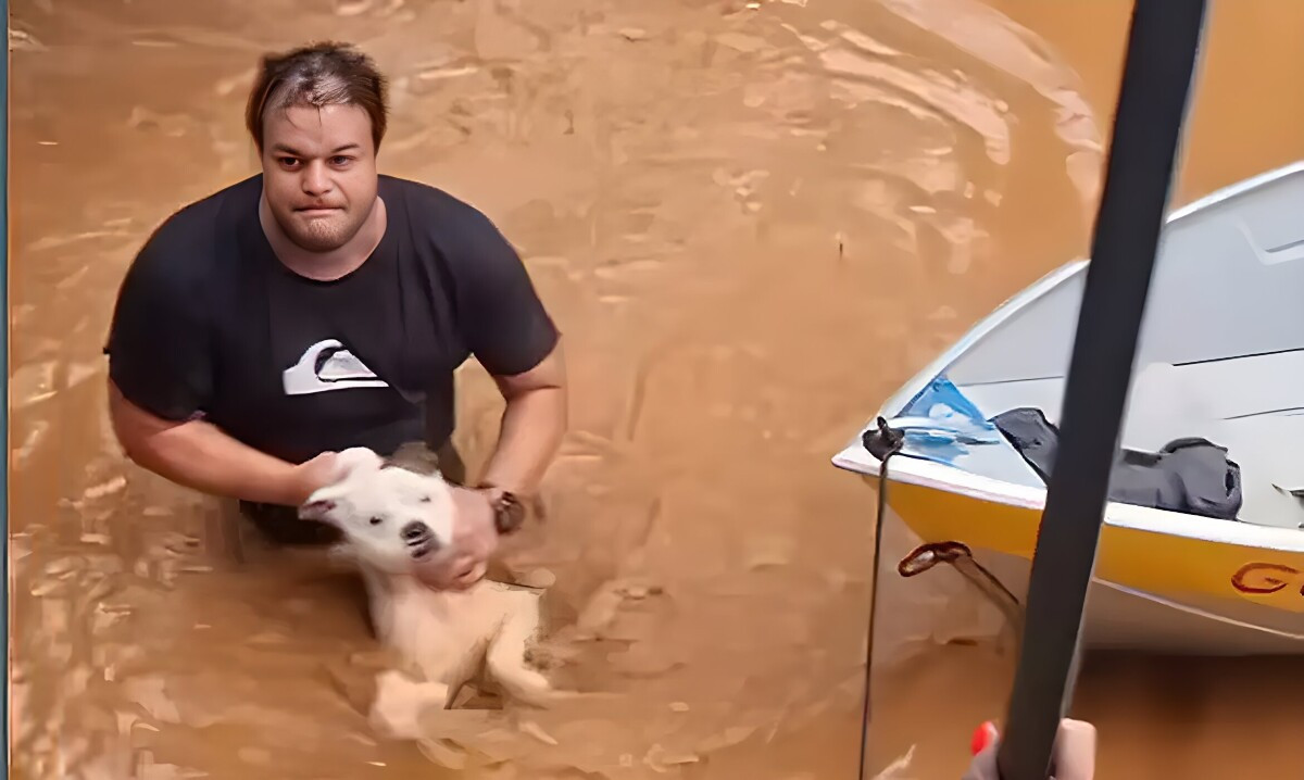 Mais de 11 mil animais afetados pelas enchentes no RS foram resgatados