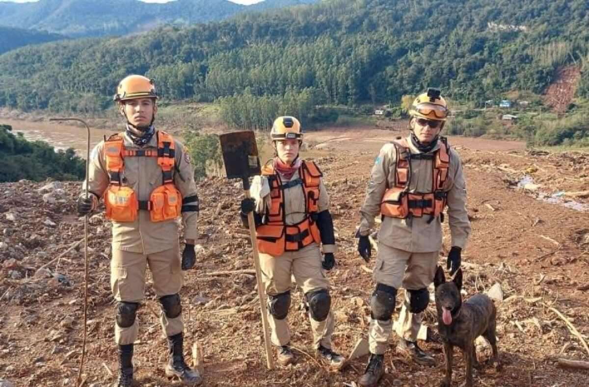 Cadela Laika e bombeiros de Mato Grosso do Sul tentam localizar família soterrada no Rio Grande do Sul 