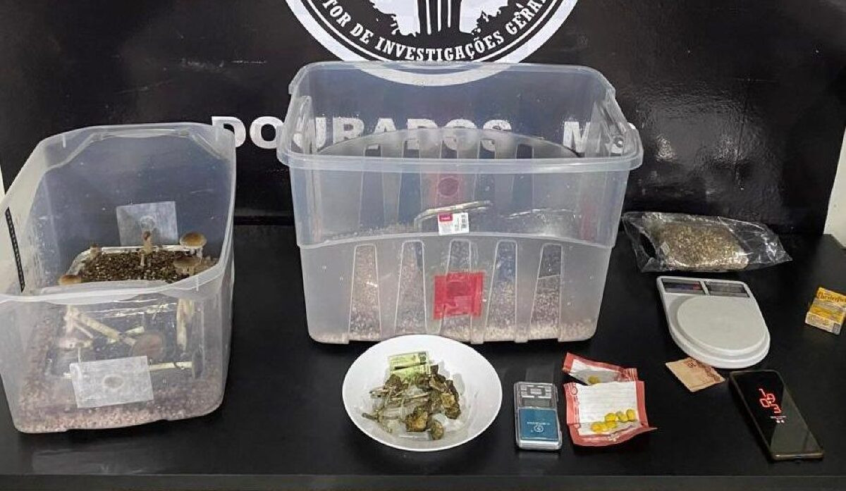 Traficante que vendia cogumelos mágico pelas redes sociais é preso