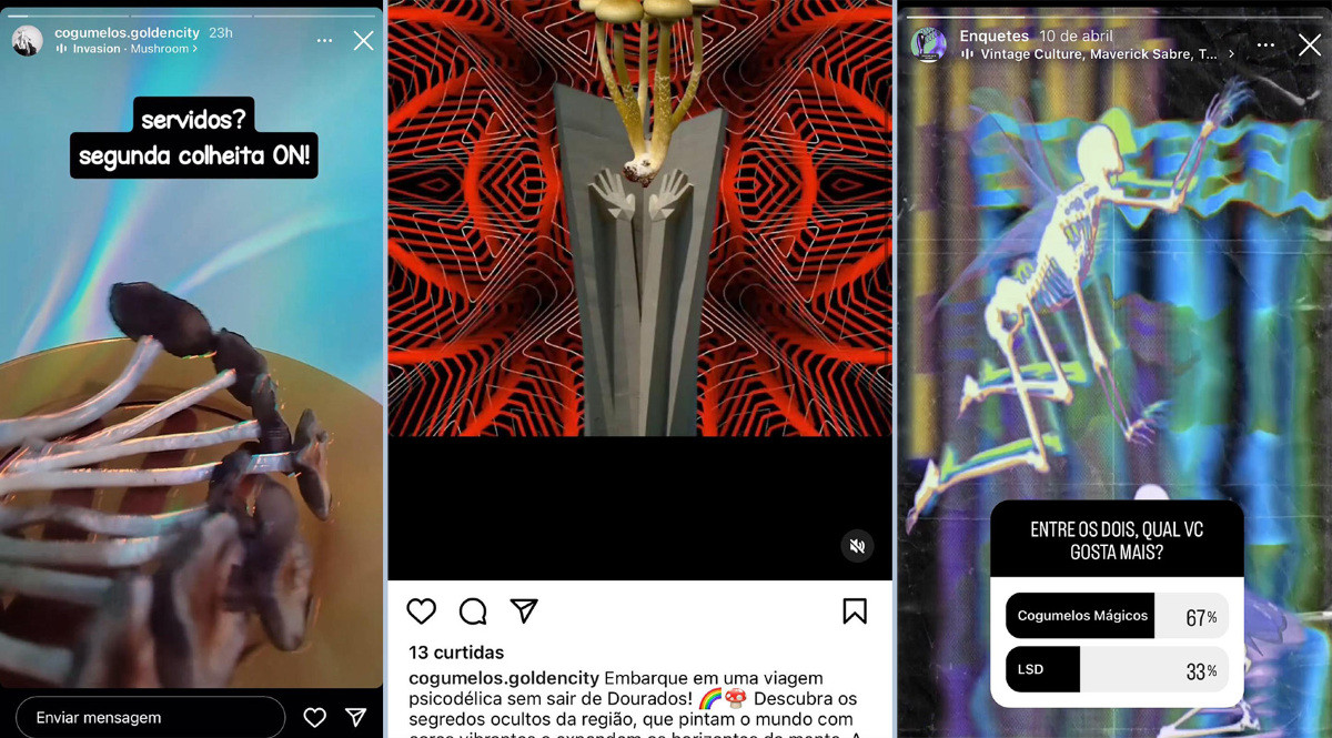 Traficante que vendia cogumelos mágico pelas redes sociais é preso