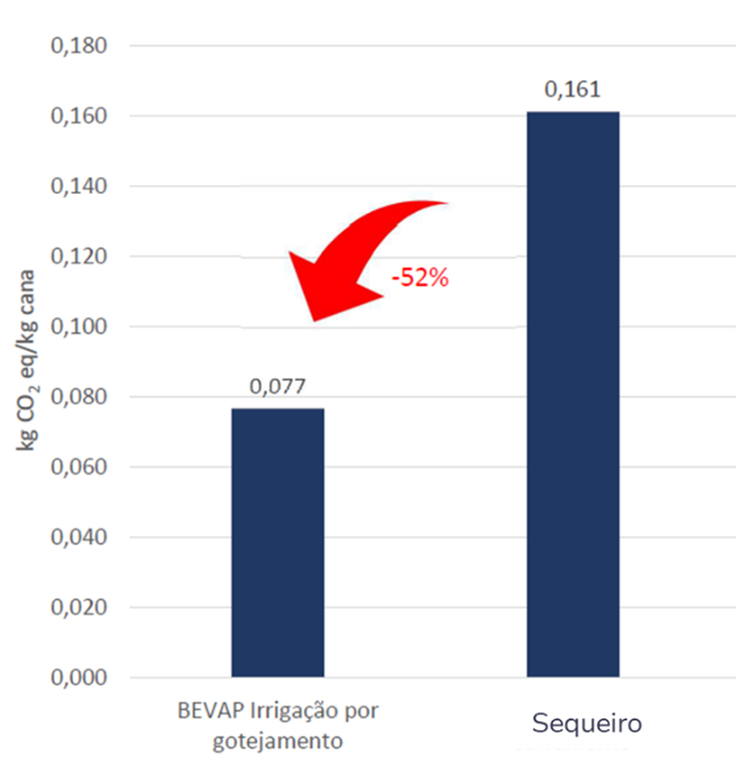 Irrigação por gotejamento: Um sistema com várias aplicações