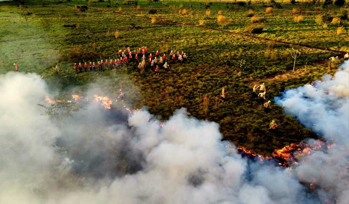 Alunos soldados do Corpo de Bombeiros participam de treinamento de combate a incêndios florestais