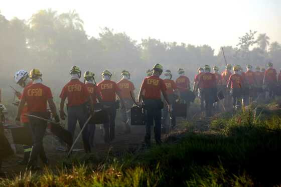 Alunos soldados do Corpo de Bombeiros participam de treinamento de combate a incêndios florestais