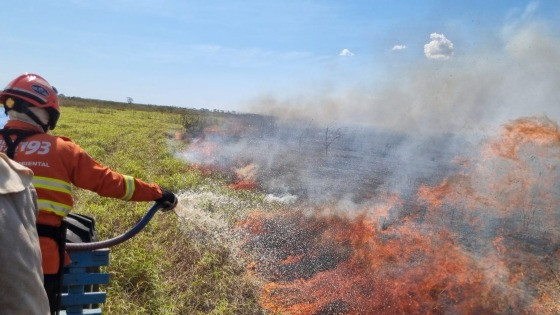 Combate aos incêndios florestais e resgate de famílias ribeirinhas continuam no Pantanal 