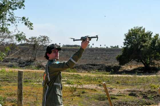 Incêndios: equipe do Gretap atua no monitoramento de animais feridos no Pantanal 