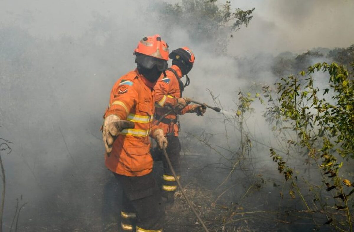 Idoso salvo pelas chamas retrata luta dos Bombeiros no Pantanal 