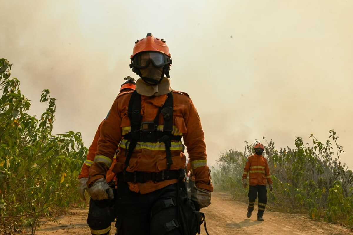 Incêndios: decreto de emergência em Mato Grosso do Sul traz inovação e agilidade nos processos 