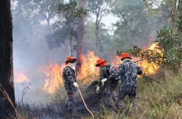 Ajuda: Força Nacional já atua no combate ao fogo no Pantanal