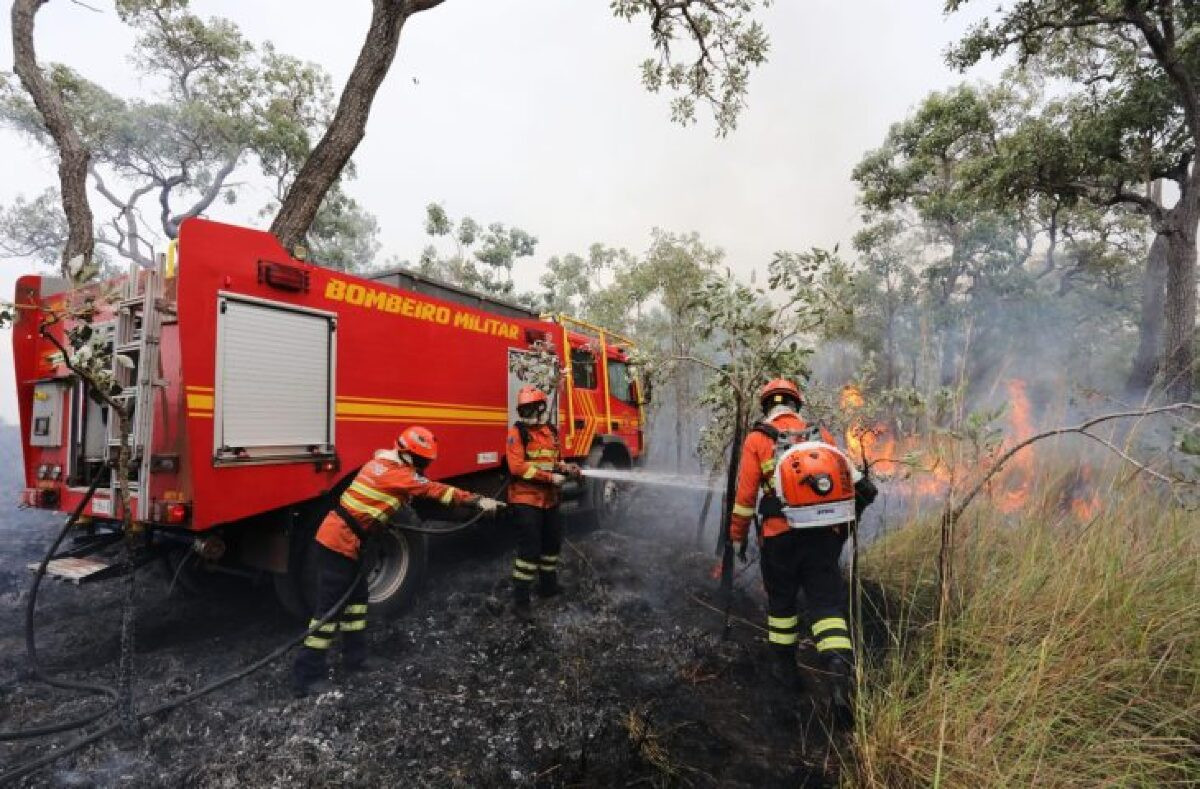 Garoa e queda na temperatura ajudam bombeiros no combate aos incêndios florestais no Pantanal