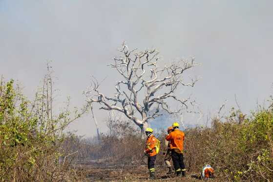 Bombeiros e Força Nacional reduzem os focos de incêndios na fazenda São Bento no Pantanal