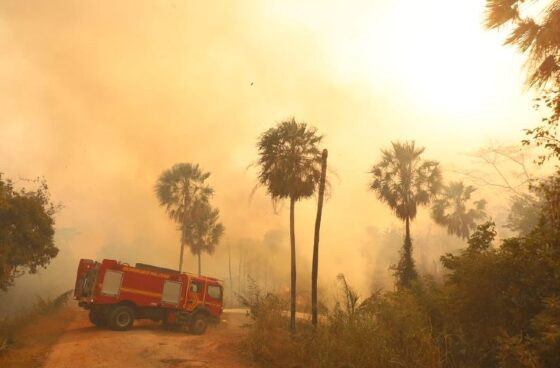 Incêndios: Pantanal segue repleto de dificuldades