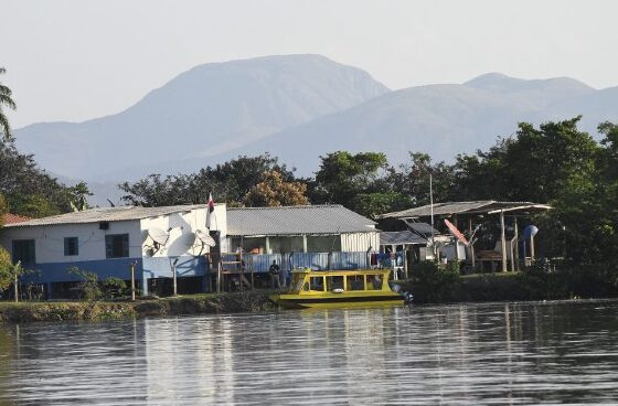 Dividido em sete sub-regiões, Pantanal tem área maior que Portugal