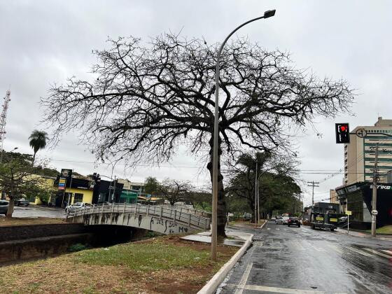 Semana inicia com garoa e queda na temperatura