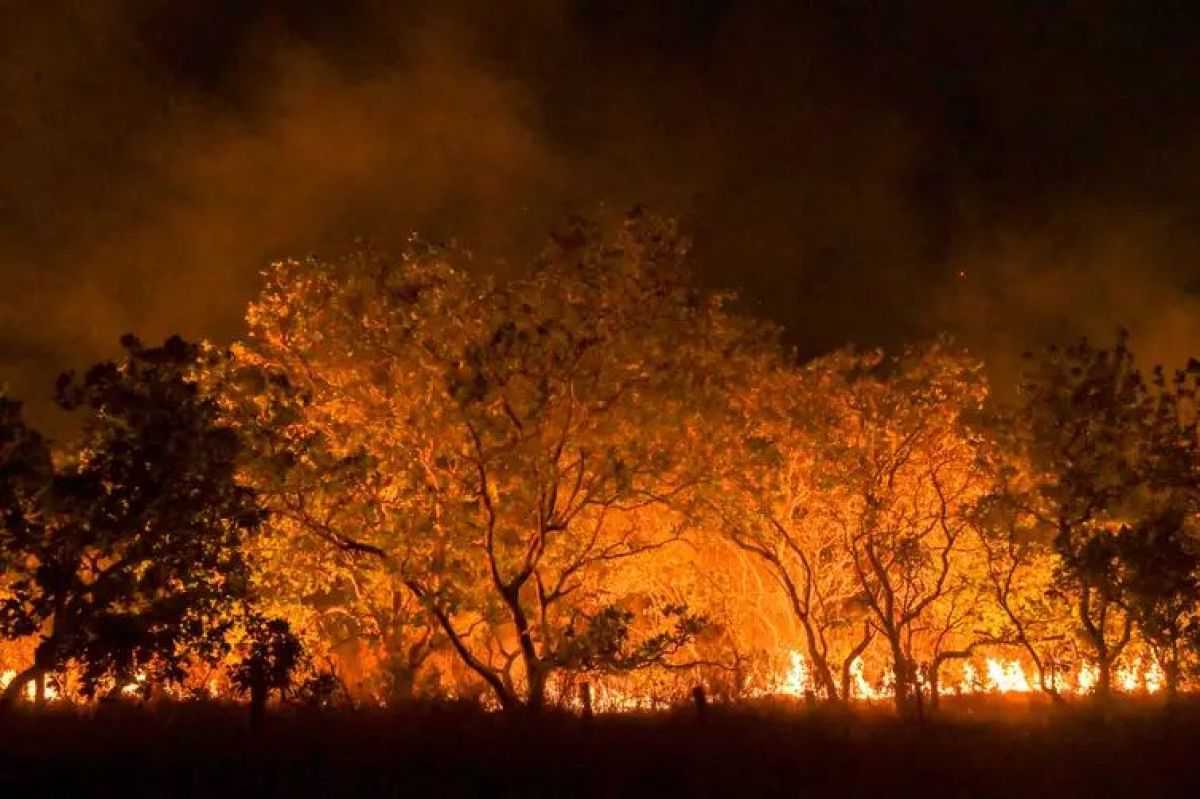 Mudanças climáticas já interferem em secas e cheias na Amazônia