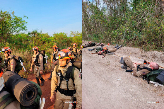 Pantanal sem chamas