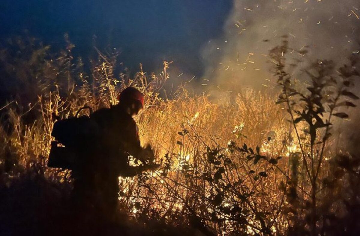 Mato Grosso do Sul recebe R$ 13,4 mil para ações de enfrentamento aos incêndios no Pantanal