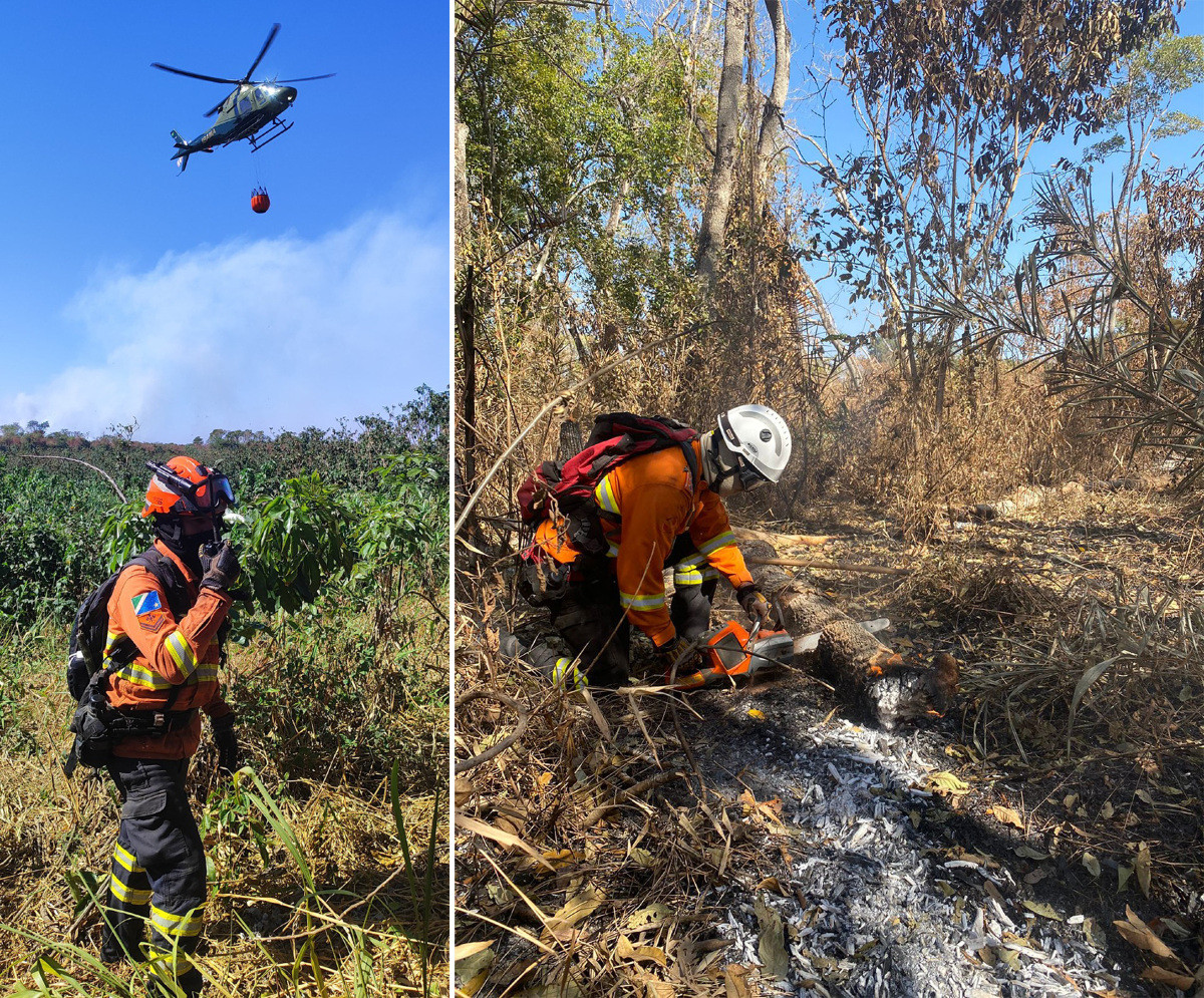 Pantanal recebe grupo de bombeiros do Paraná nesta quinta