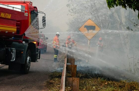 Chuva traz alívio e controla incêndios no Pantanal Sul-Mato-Grossense