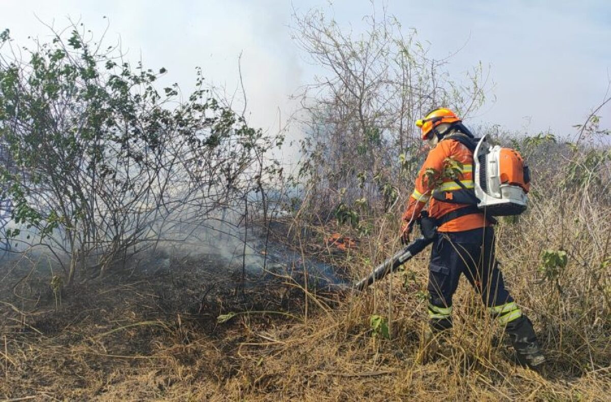 Pantanal tem oito focos de incêndios ativos