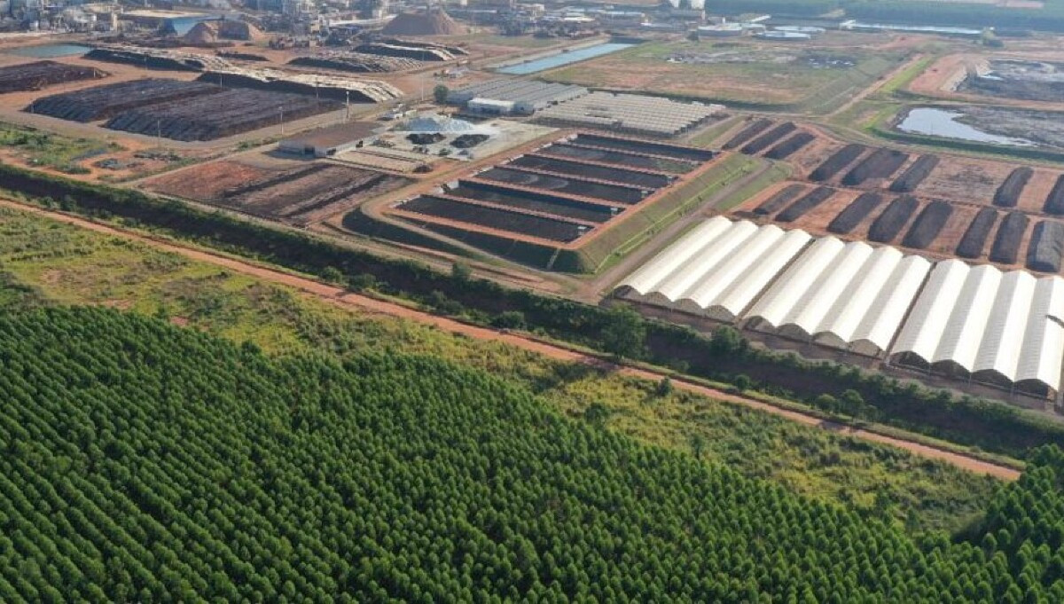 Suzano e a Eldorado recebem visita do presidente do Imasul