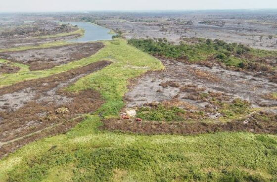 FCO pode oferecer crédito especial para recuperação do pantanal pós-incêndios