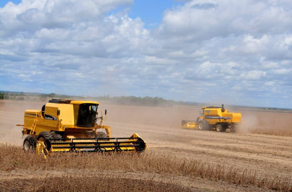 Estado ocupa a 7ª posição no ranking nacional, apesar de retração na agricultura