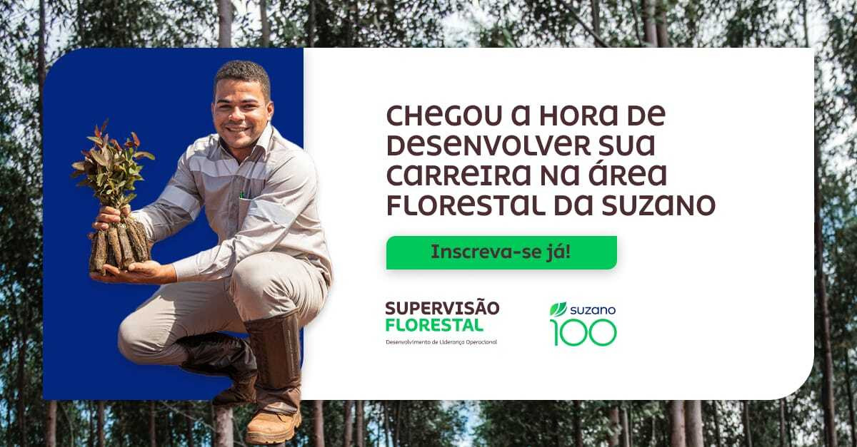 Suzano abre vagas para lideranças florestais em Mato Grosso do Sul e outros estados