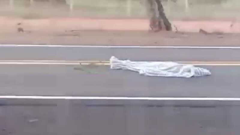 A Jovem foi atingida por caminhonete após descer de caminhão na rodovia