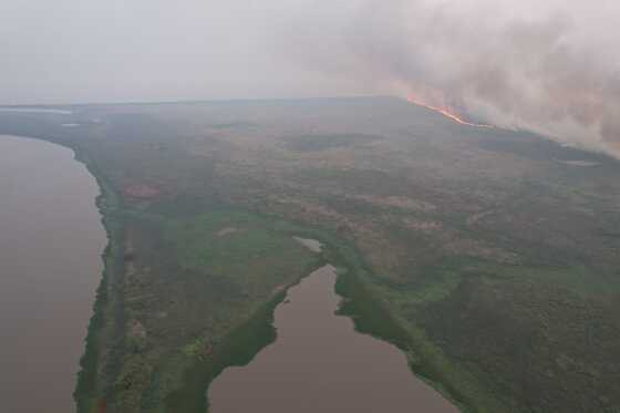 Incêndios florestais intensificam-se em Mato Grosso do Sul