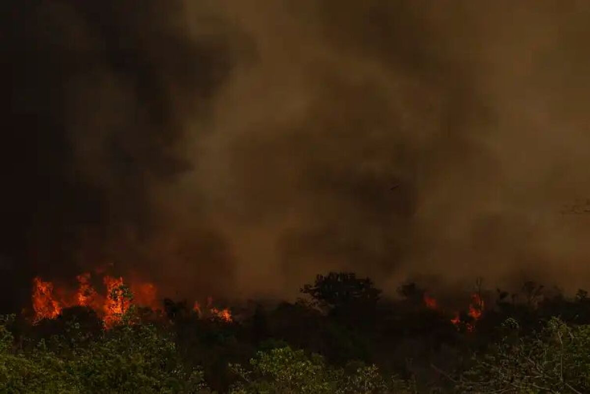 Especialista do Inca alerta para risco da fumaça das queimadas à saúde