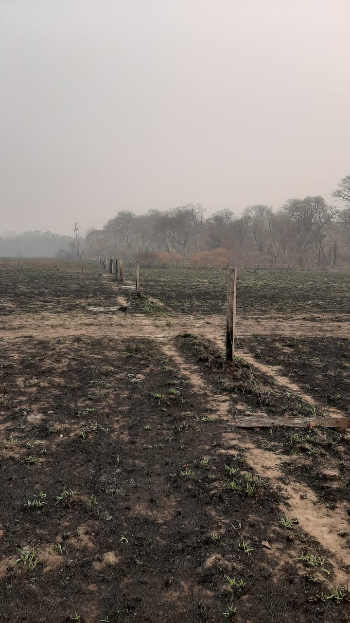 Lançado o programa “SuperAção Pantanal” para recuperação de propriedades