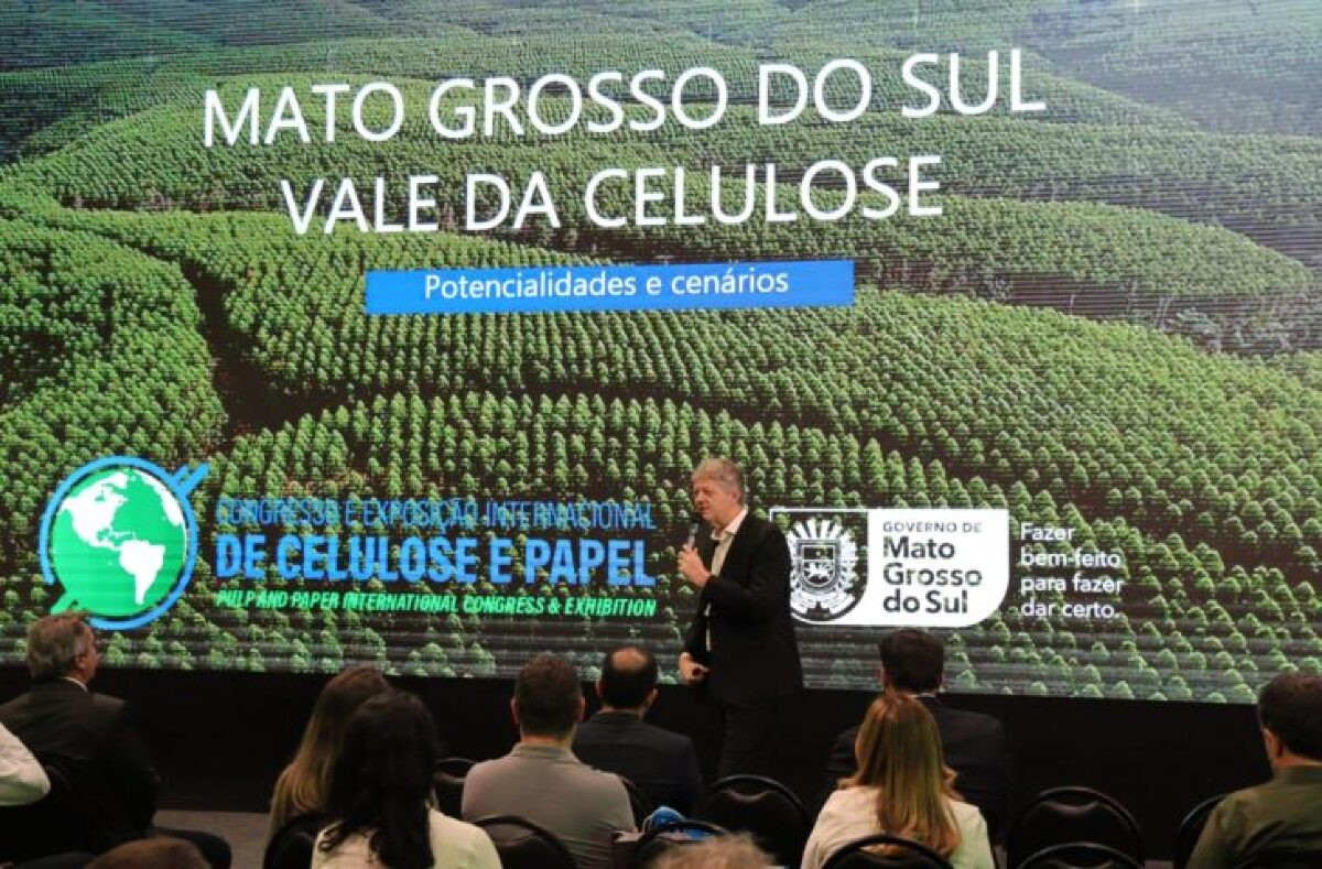 Mato Grosso do Sul tem mais florestas plantadas do estado