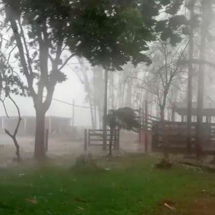 Temporal destelha casas e derruba árvores em cidade de Mato Grosso do Sul