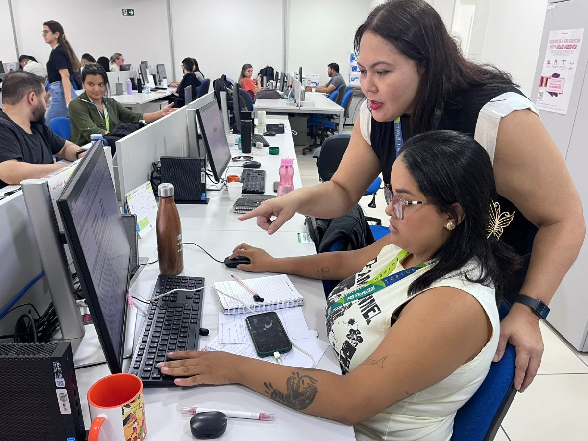 Bracell e MS Florestal lan&ccedil;am programa de est&aacute;gio 2025 com 50 vagas para diversas &aacute;reas