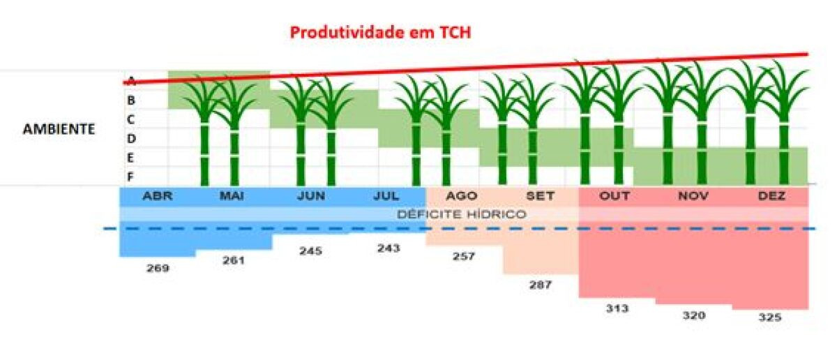 A irrigação se faz nas chuvas