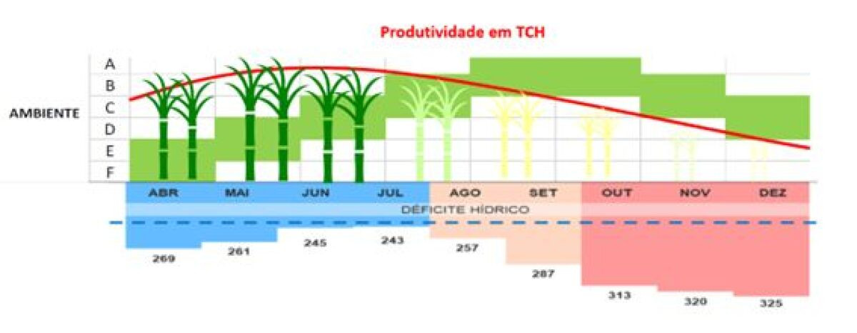 A irrigação se faz nas chuvas