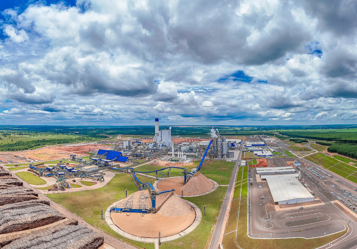 Projeto Cerrado: nova fábrica de celulose da Suzano em Ribas do Rio Pardo (MS)