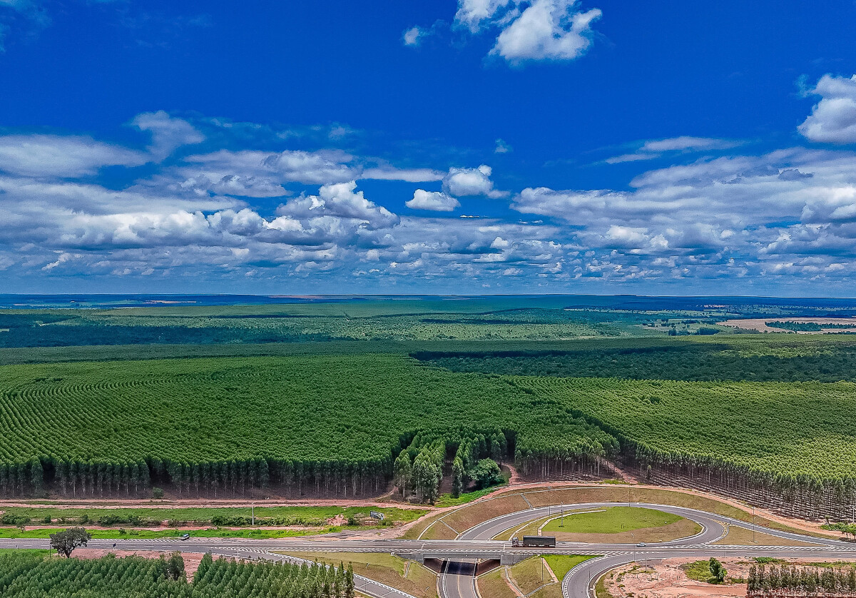 Projeto Cerrado: nova fábrica de celulose da Suzano em Ribas do Rio Pardo (MS)
