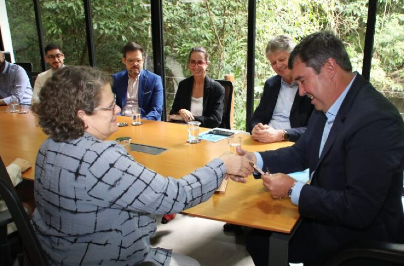 Conferência irá unir agentes globais para debater sobre a conservação de espécies migratórias de animais silvestres