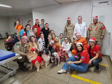 Cães coterapeutas levam alegria e conforto a crianças no HRMS