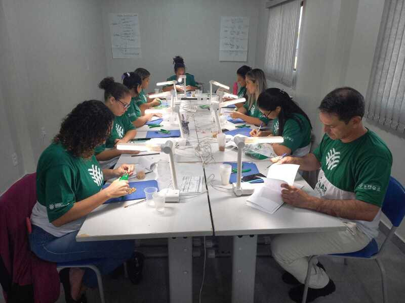 Classificadores de grãos, a alta demanda por profissionais qualificados continua a ser uma tendência para o setor